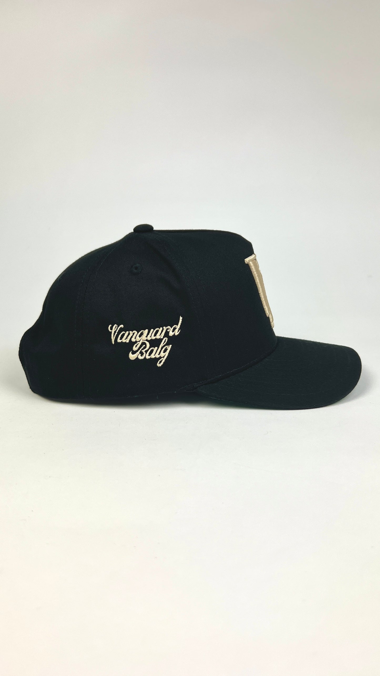 VB Snapback Hat