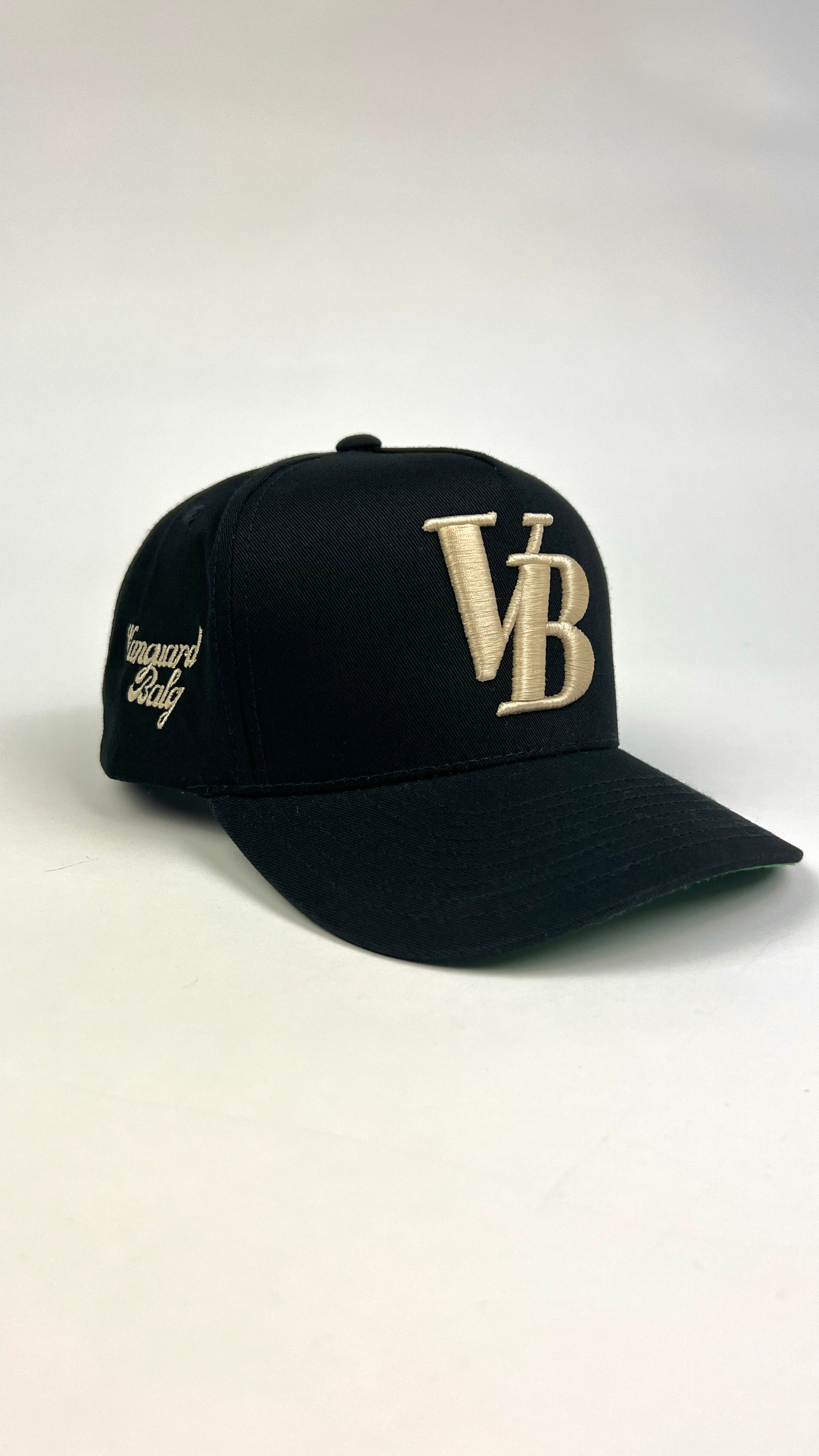 VB Snapback Hat