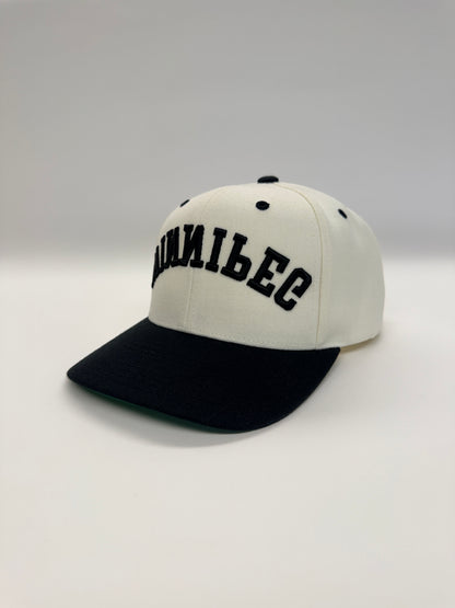 WINNIPEG flipped SnapBack - Neutral/Black