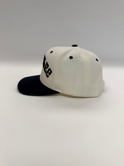 WINNIPEG flipped SnapBack - Neutral/Black