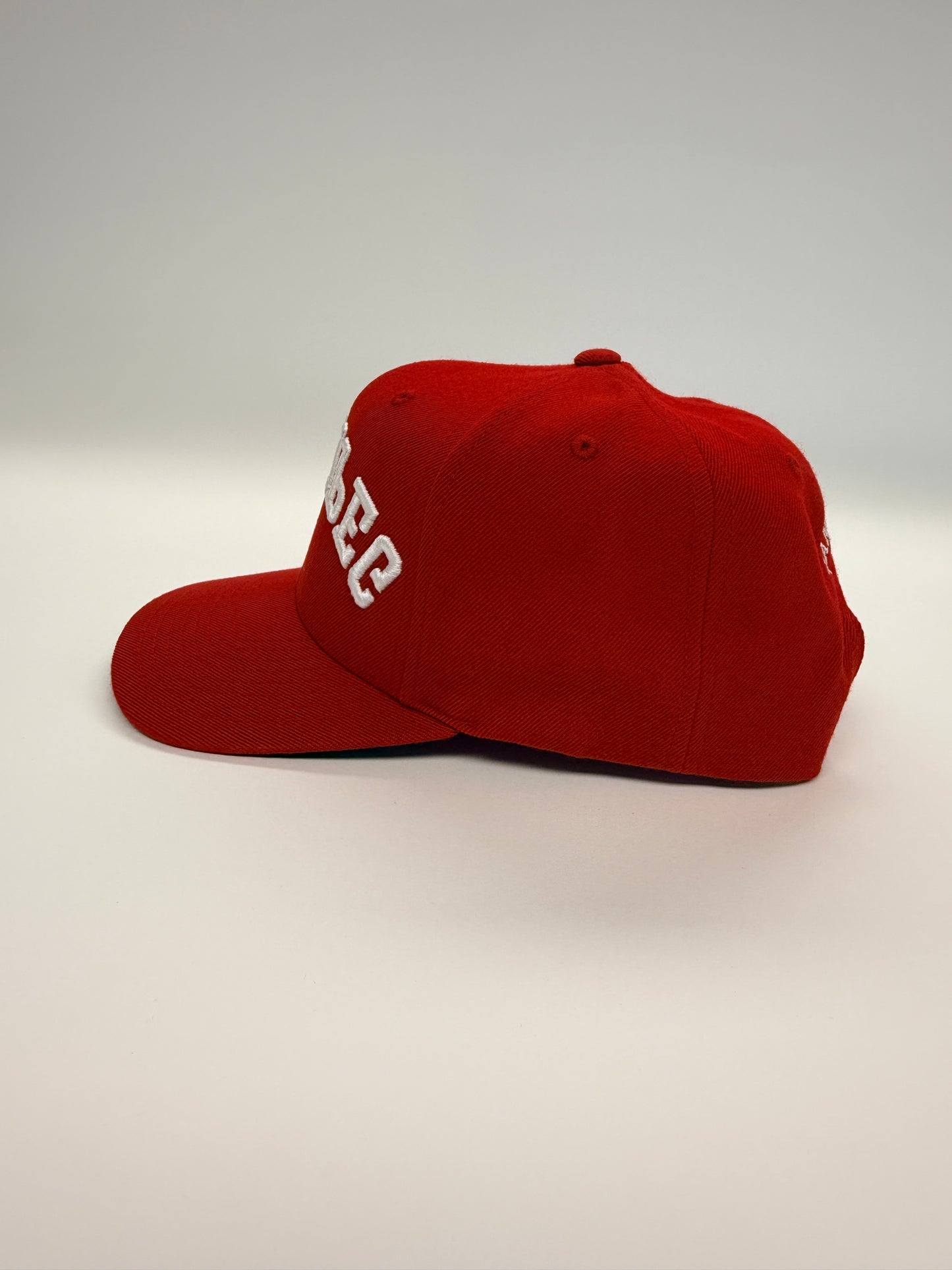 WINNIPEG flipped SnapBack - Red