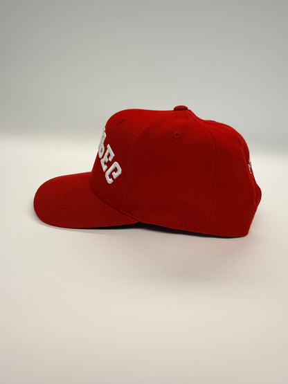 WINNIPEG flipped SnapBack - Red