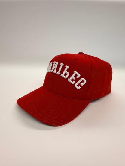 WINNIPEG flipped SnapBack - Red
