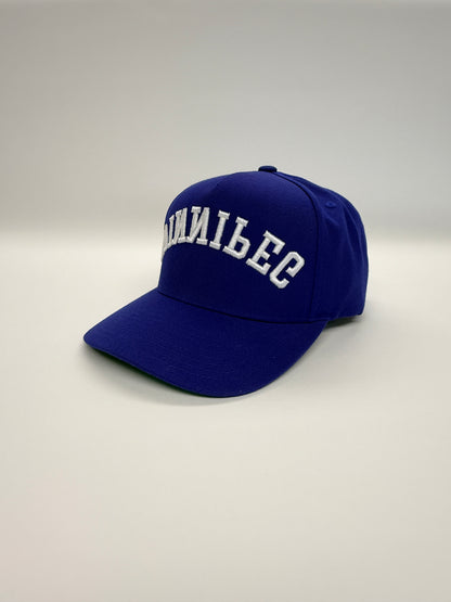 WINNIPEG flipped SnapBack - Blue