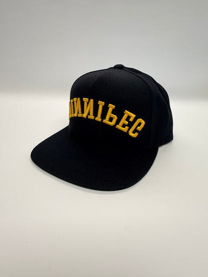 WINNIPEG flipped SnapBack - Black